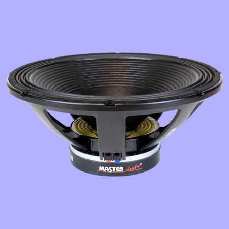 Woofer LSN21/8 Master Audio