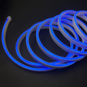 LED Flex Neon Plava S0612