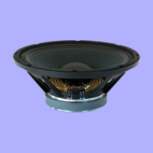 PA12/8 Master Audio