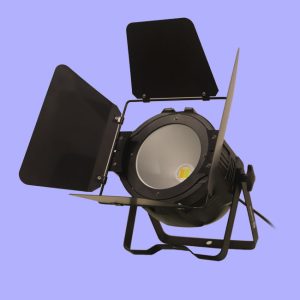 LED PAR YR-COB200W WW + Pure White