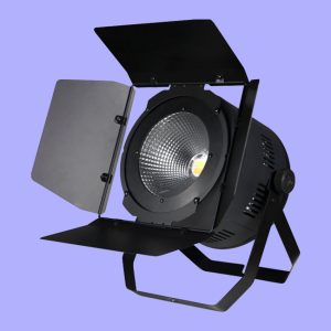 LED PAR YR-N200M